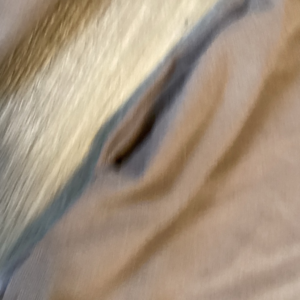 Long sleeve basic shirt - Picture 3 of 4